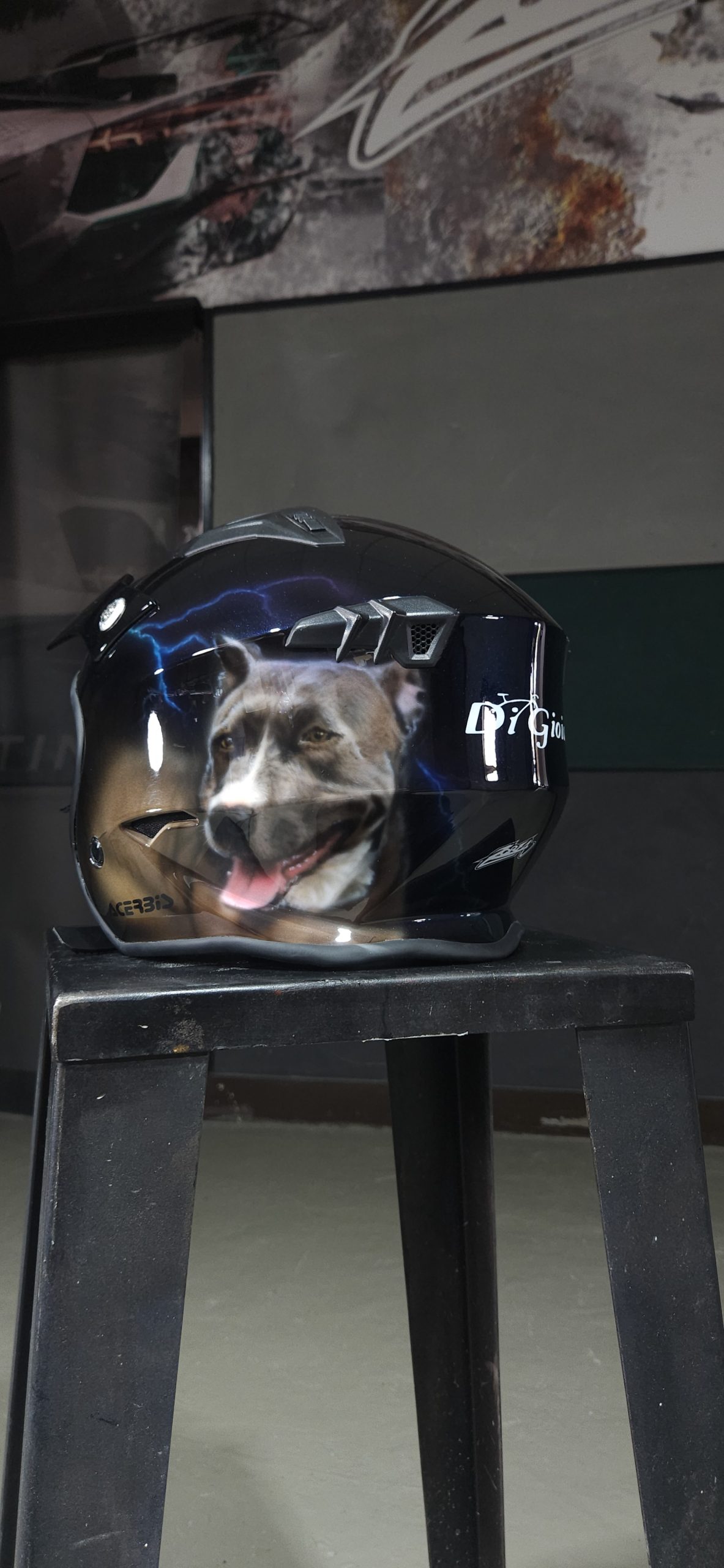 di gioia dog